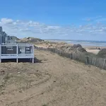 Willow By The Waves