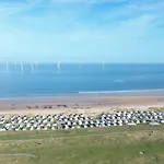 Willow By The Waves