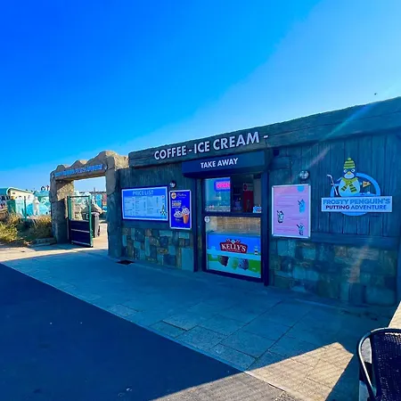 Willow By The Waves * Redcar